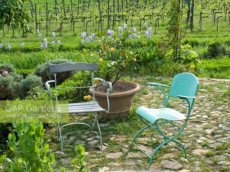 Jardin Parterre avec chaises à côté d'un petit étang circulaire à Locanda Casanuova, Toscane, Italie