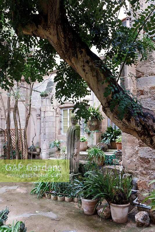 Le jardin du monastère des Chartreux à Valdemossa, Majorque, Espagne, où Chopin et George Sands ont séjourné