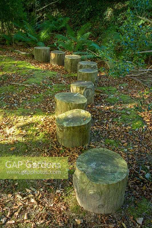 Jardin Pinsla, Cornwall, UK. Jardin de fin d'été, les journaux comme sièges dans le jardin boisé