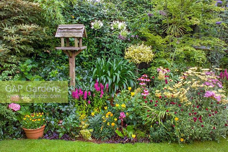 62 Hillcrest Rd, Nailsea, Somerset, Royaume-Uni. (Andy Luft) petit jardin de ville avec une bonne structure, des arbres et des arbustes intéressants. table d'oiseau au milieu des plantations d'été massives informelles