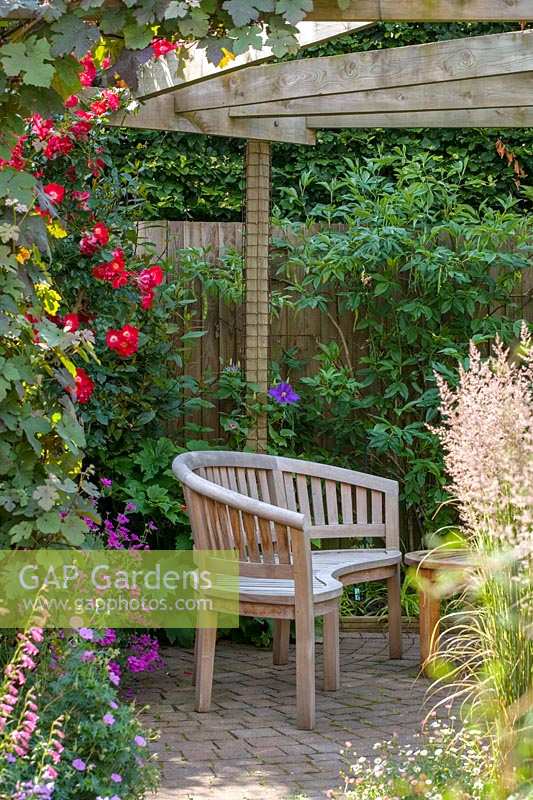 18 Queens Gate, Bristol, Royaume-Uni (Sheila White) petit jardin de ville en été. banc en pergola