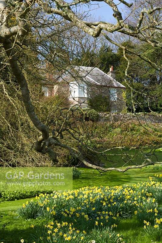 Milton Lodge, Wells, Somerset (Tudway-Quilter) jardin de printemps avec de belles vues