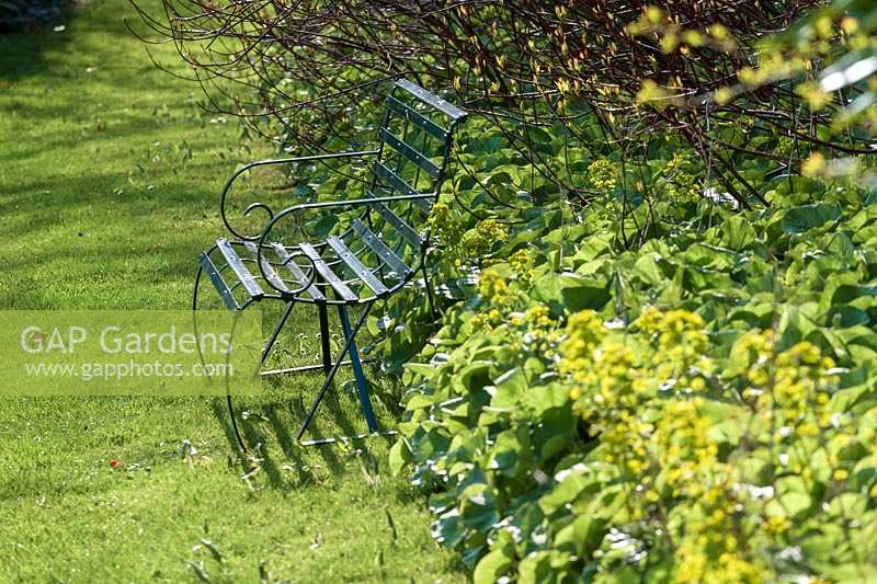 Milton Lodge, Wells, Somerset (Tudway-Quilter) jardin de printemps avec élégant banc en métal