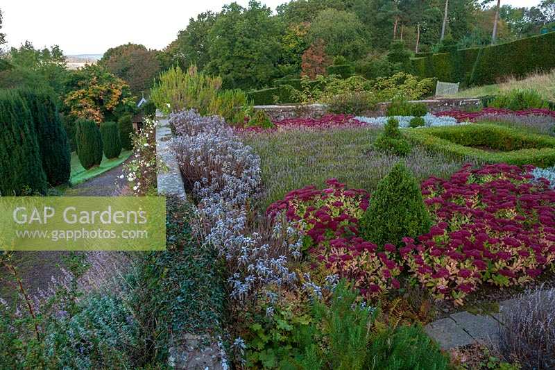 Perrycroft, Herefordshire. (Archer) petit jardin parterre géométrique englouti avec haies taillées et Sedum, (PR disponible)