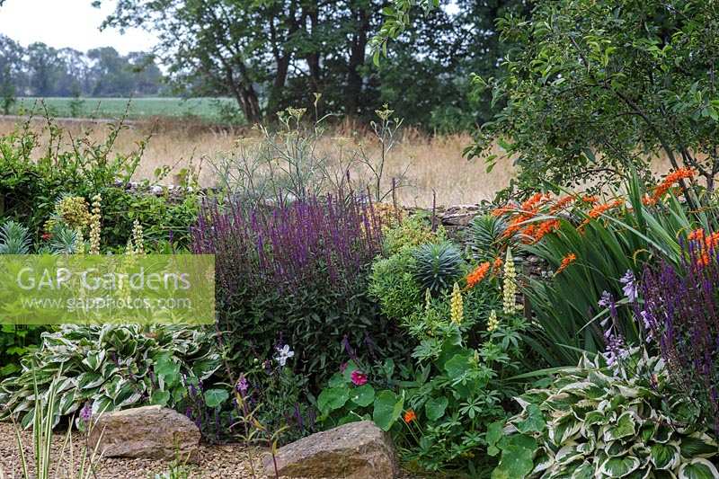 Le jardin de Sue O ' Neill au Field Cottage, Cirencester, Glos. Parterre d'été avec mur de jardin des Cotswolds et champ derrière