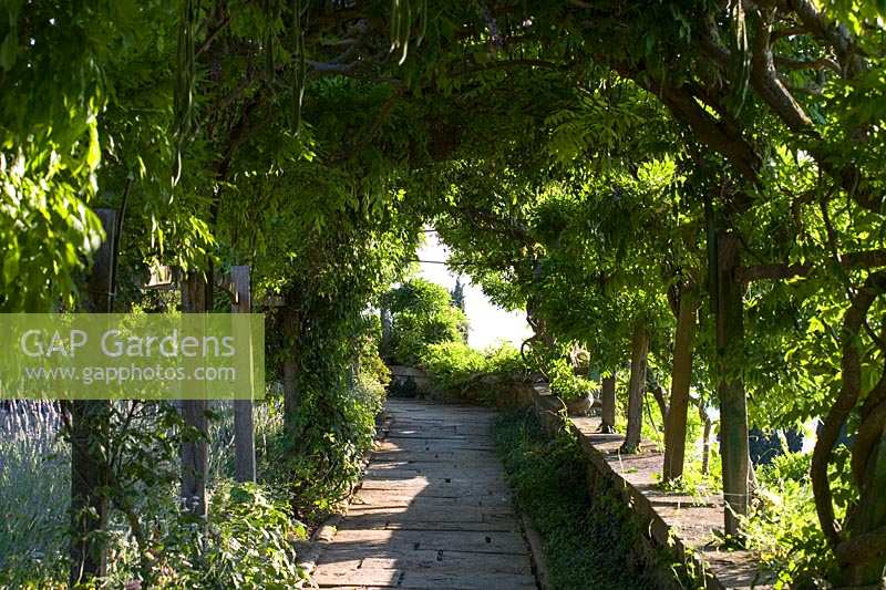 Villa La Foce, Toscane, Italie. Grand jardin avec couverture de boîte coupée topiaire et vue sur la campagne toscane, la pergola voûtée couverte de glycines