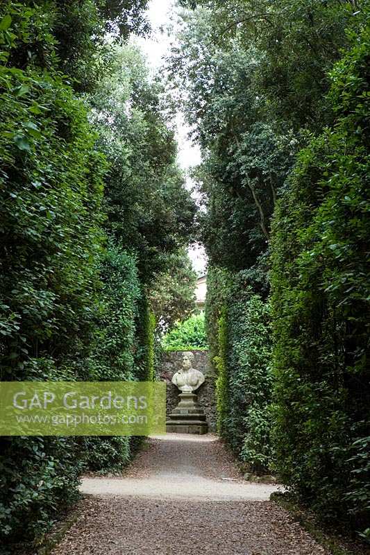 Giardino di Boboli (jardins de Boboli), Florence, Italie. Jardin Médicis du XVIe siècle au Palazzo Pitti