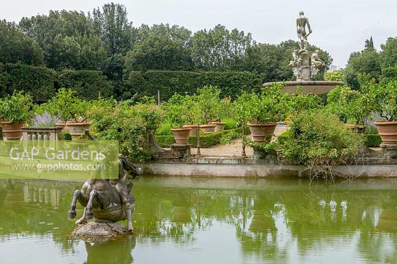Giardino di Boboli (jardins de Boboli), Florence, Italie. Jardin Médicis du XVIe siècle au Palazzo Pitti, 'l'isolotto', une grande piscine ovale et 'l'île au citron'