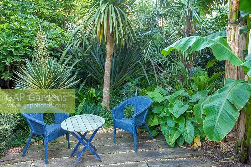 Jardin Beechwell (Tim Wilmot), Bristol, Royaume-Uni. Jardin de ville exotique avec plantation architecturale et subtropicale