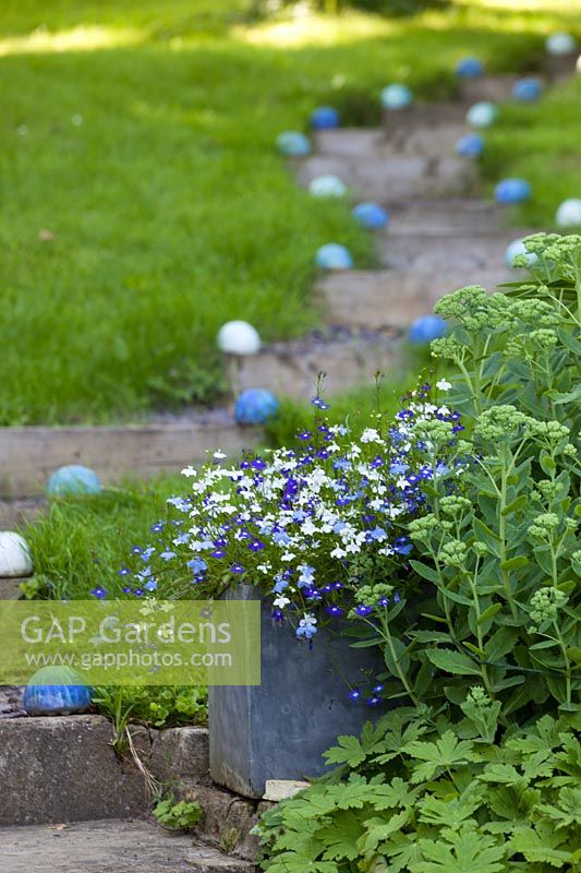 Jardin de Carole Waller à Bathford, Somerset, l'été. Pots et pots dans un petit jardin