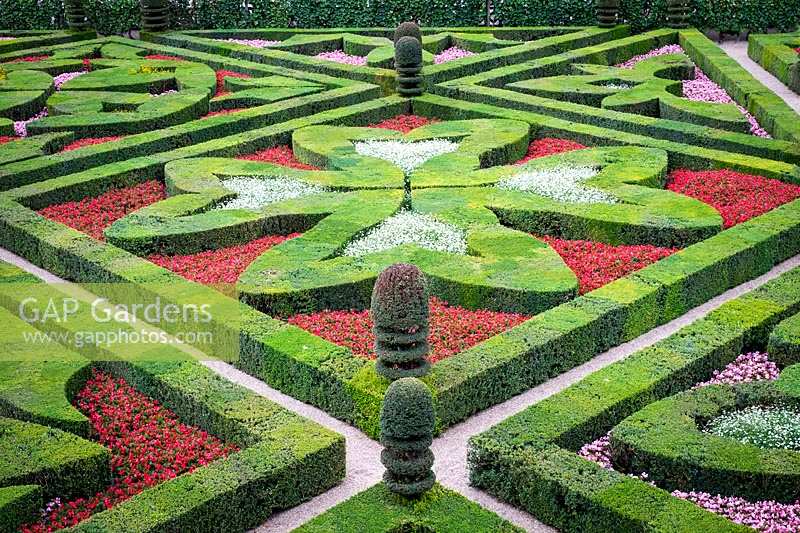 Château Villandry, vallée de la Loire, France, le célèbre jardin de noeuds et parterre avec couverture d'if et topiaire