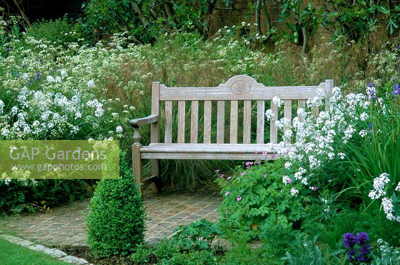 Gaeden Sussex privé banc en bois situé dans un parterre de fleurs herbacées Hesperis matronalis var albiflora syn alba Stipa gigantea