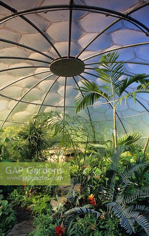Chelsea FS 2001 Design Leyhill Prison Tender plantes exotiques sous un dôme moderne en verre