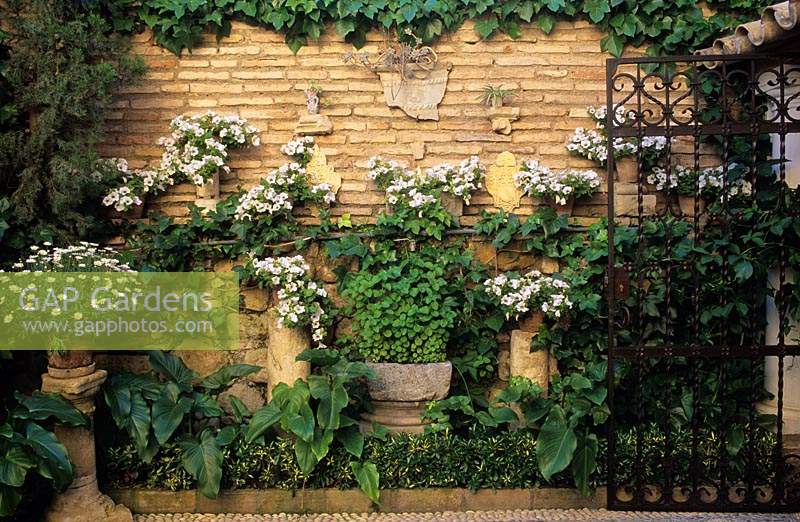Jardin privé Cordoba Espagne Argyranthemums blancs et pétunias en pots et colonnes contre le mur de briques