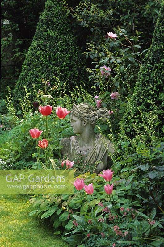 Jardin privé de la ville de Londres statue antique au printemps parterre de fleurs avec des tulipes roses Camellias et Tellima grandiflora topiaire buis