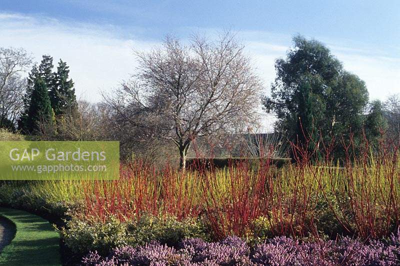 Cambridge Botanic Garden le jardin d'hiver