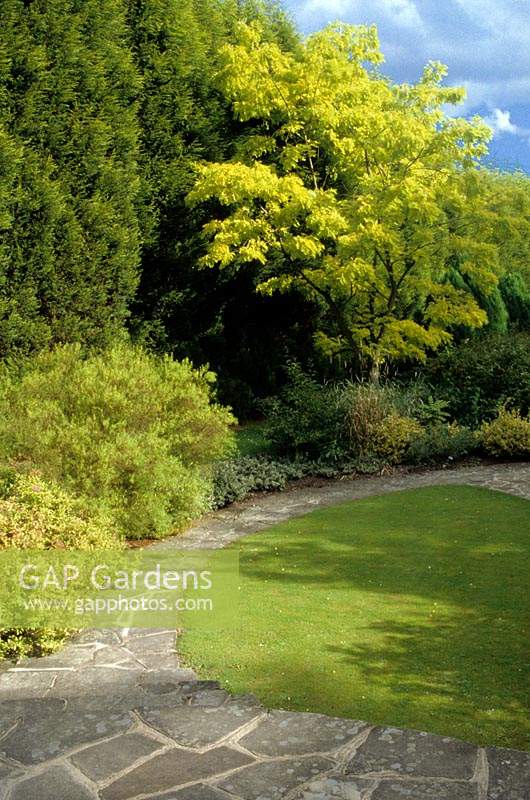 Merrist Wood Surrey pelouse circulaire avec chemin de pavage fou Robinia pseudoacacia Frise