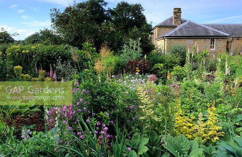 West Lodge South Sussex cottage garden avec haletant mixte de vivaces et d'arbustes annuels