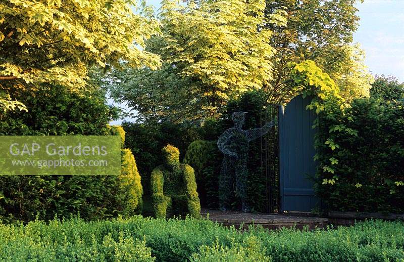 Tilford Cottage Surrey Lonicera nitida figure topiaire haie d'if Acer drummondii gate