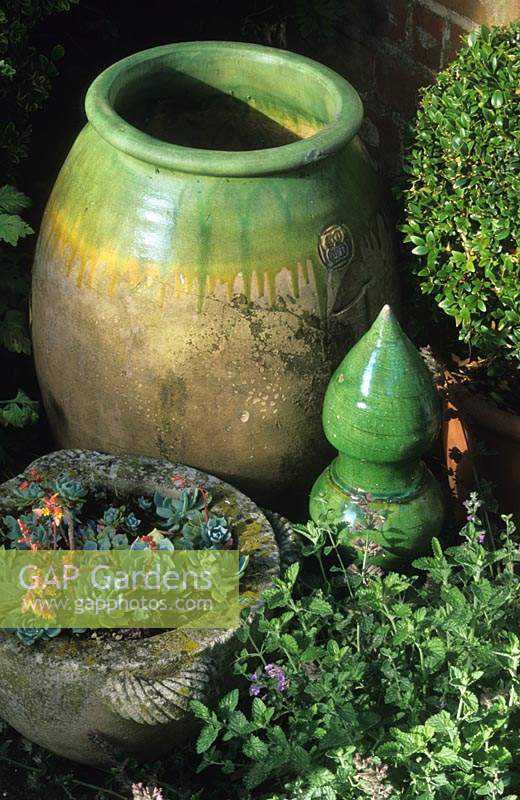 Large St Hampshire urne vitrée rustique et fleuron avec Echivera dans un mortier