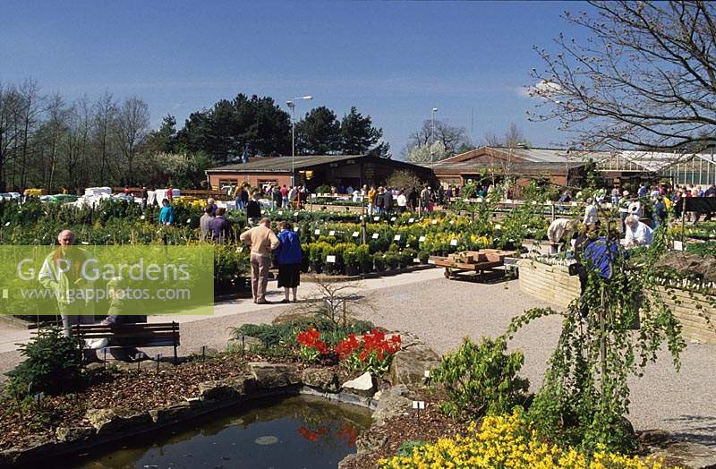 Bridgemere Garden World Garden Center Staffordshire avec des gens qui achètent des plantes