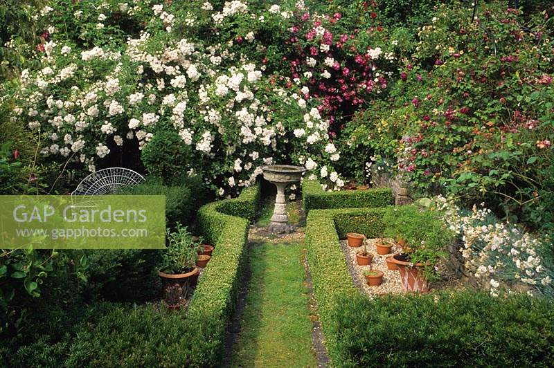 Jardin d'Alan Titchmarshs Hampshire Jardin d'escalade parfumé de roses avec chemin de camomille haies de buis et bain d'oiseaux comme point focal