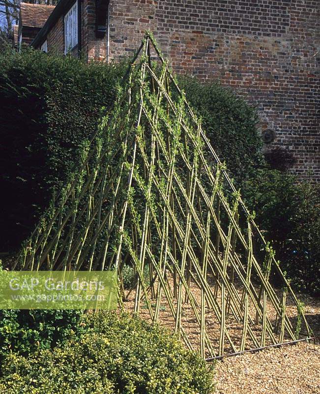 Jardin privé Hampshire sculpture de pyramide de saule vivant par Barbara Hunt