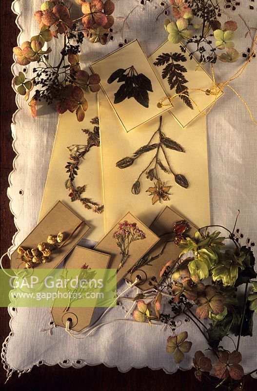 Gardeners Cottage Cheshire cartes de vœux et étiquettes-cadeaux en fleurs de Sally Hall