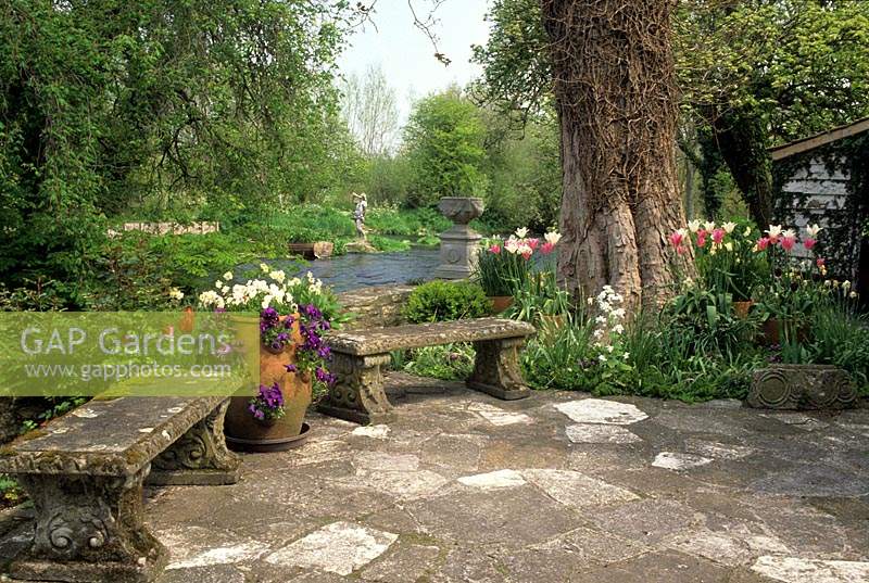 jardin privé Wiltshire patio à côté de la rivière pays jardin tulipes et pensées en pots bancs en pierre