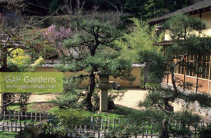 Jardin japonais de Hakone Saratoga en Californie Le jardin zen avec statue en mousse Pin et rampes basses en bambou