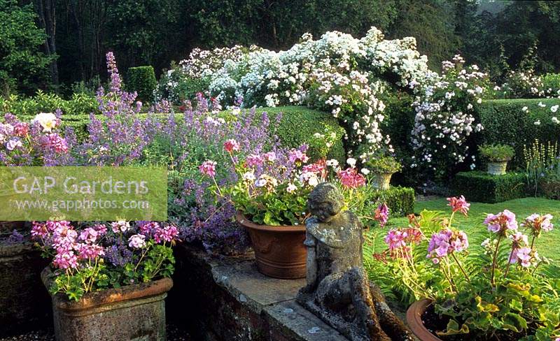 Frith Lodge Sussex pergola rose vue de la terrasse Rosa Paul s Himalayan Musk et The Garland