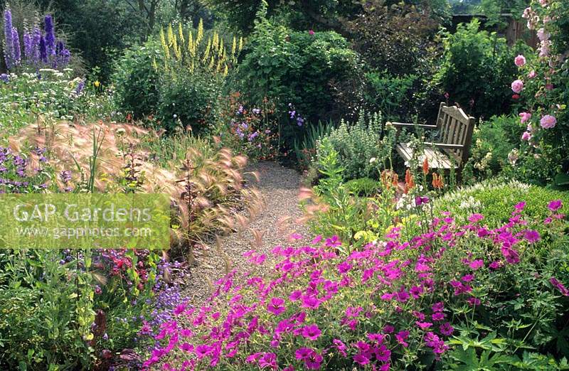 Windy Ridge Yorkshire chemin de gravier avec banc en bois et parterres de fleurs vivaces informelles Geranium Patricia Hordeum jubatum