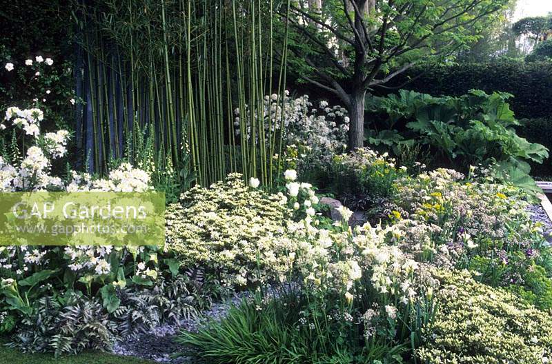 Chelsea Flower Show 2008 design Arabella Lennox Boyd jardin ombragé blanc avec azalées fougères aquilegias et bambou mai