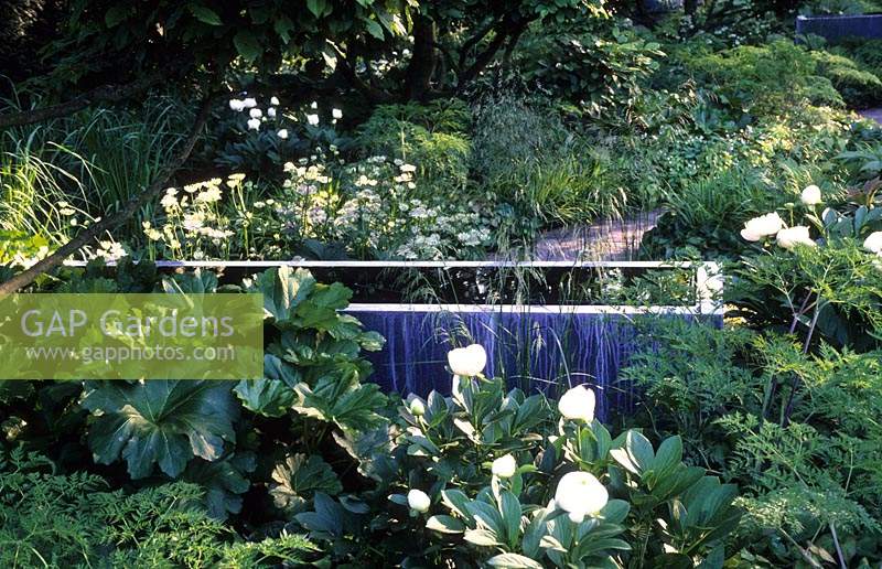 Chelsea Flower Show 2008 design Tom Stuart Smith jardin moderne contemporain minimaliste vert et blanc avec de l'eau rectangulaire