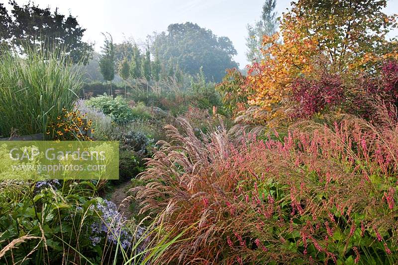 Marchants Sussex début de l'automne automne parterres de plantes vivaces graminées ornementales septembre brume brumeuse matin jardin combinaison de plantes