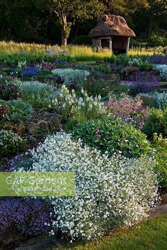 Jardin englouti West Dean Sussex vue formelle des plates-bandes surélevées chemins d'herbe été juin soleil ensoleillé fleurs fleurs fleurs Cerastium