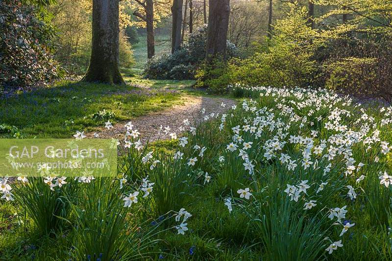 Jardin High Beeches, Sussex