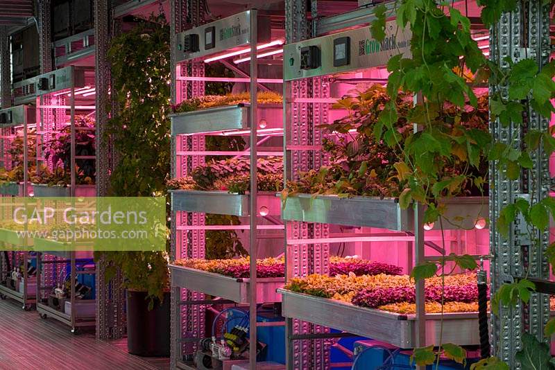 Le jardinage sauvera le monde, RHS Chelsea Flower Show 2019, Design: Tom Dixon, Sponsor: Ikea - Hydroponic base garden