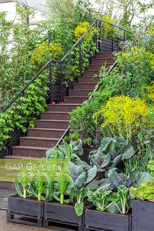 Escaliers du rez-de-jardin au jardin surélevé, des boîtes de légumes poussant de chaque côté des balustrades - Gardening Will Save The World, RHS Chelsea Flower Show 2019, Design: Tom Dixon, Sponsor: Ikea