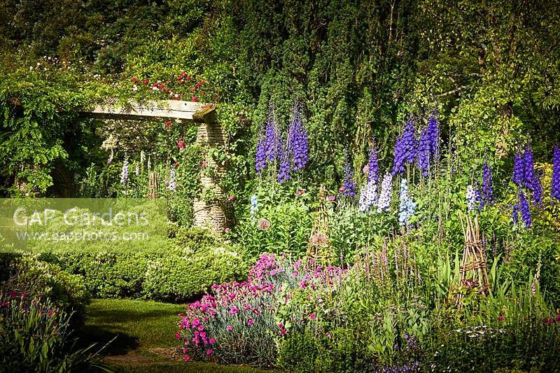 Delphinium, Dianthus 'Devon Wizard' et Hebe dans The Old Cottage Garden, Highgrove, juin 2019.