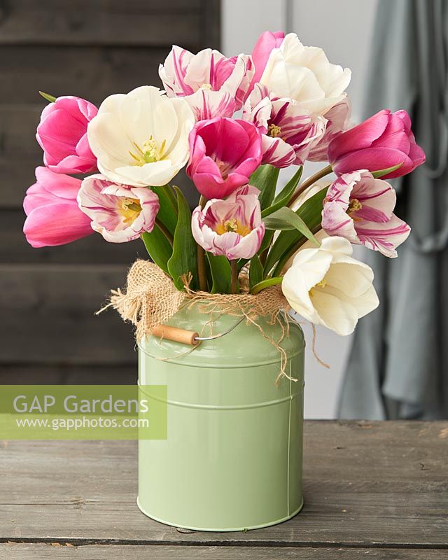 Mélange de tulipes sur vase