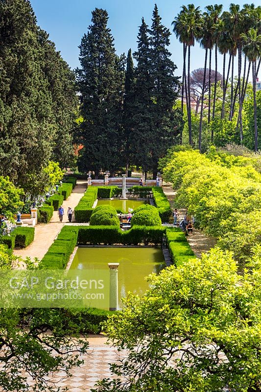 Vue sur le Jardin de los Poetas avec ses étangs et piliers formels. La plantation comprend des palmiers, des agrumes x sinensis et des couvertures Myrtus communis dans les jardins du Real Alcazar, à Séville.