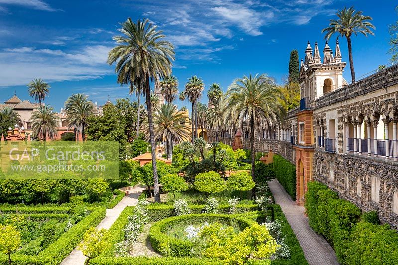 Jardins de parterre avec couverture de laurier, Real Alcazar, Séville.