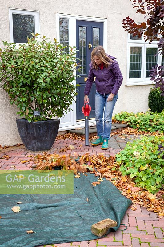 Femme à l'aide d'un souffleur de feuilles et d'une feuille pour ramasser les feuilles d'un patio.