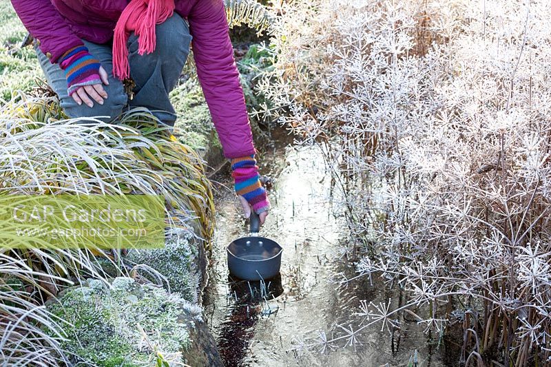 Femme faisant fondre de la glace sur un étang gelé à l'aide d'une casserole d'eau bouillante
