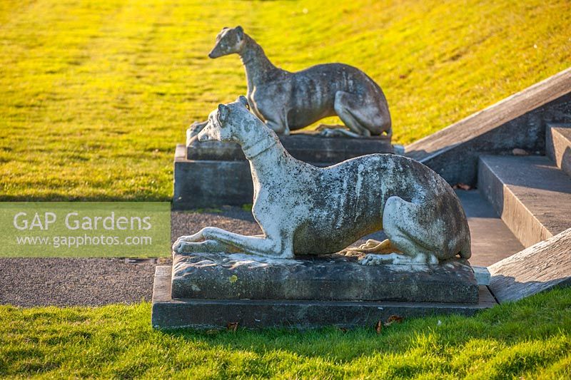 Double Greyhound dog statues à la base des marches du jardin à Brodsworth Hall, Yorkshire.