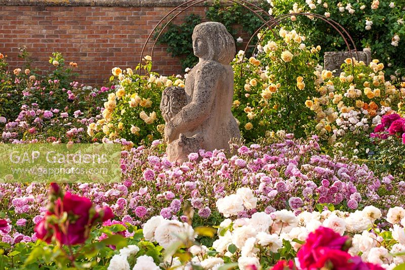 Rosa - David Austin roses dans des parterres de fleurs, comme la R. à fleurs roses 'Harlow Carr' entourant la sculpture avec des arcs supportant les rosiers grimpants