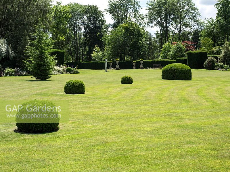 De grandes boules de Buxus sempervirens de différentes tailles sont placées sur la pelouse formelle pour ajouter de l'intérêt et de la forme.