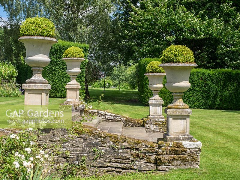 De grandes urnes en pierre plantées de boules de Buxus sempervirens sont placées aux coins des marches menant à la pelouse inférieure.