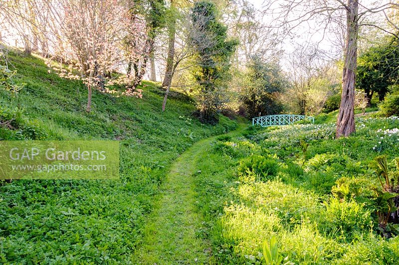 Chemin d'herbe à travers le jardin de la vallée, menant vers un pont peint en bleu sur le ruisseau, Brilley Court Farm, Whitney-on-Wye, Herefordshire, Royaume-Uni.